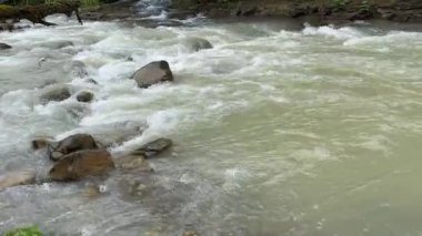 Dağ nehrinde su akışı ve akıntıya yakın akış.