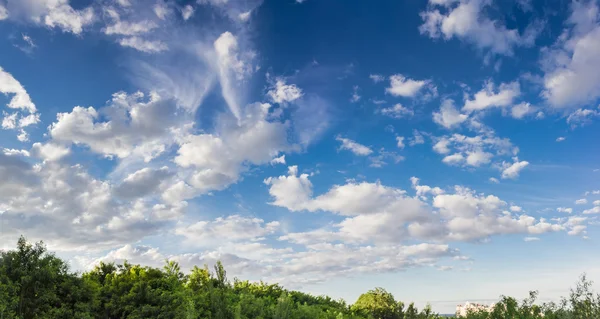 Cielo con nuvole di cumulo e nuvole di cirri su uno sfondo di albero — Foto Stock