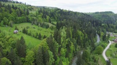 Nehir ve ağaçlık yamaçlı dağ vadisi, hava manzaralı.