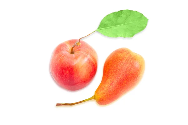 Pera europea y manzana roja sobre un fondo claro — Foto de Stock