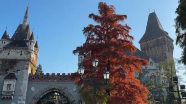 Vajdahunyad Kalesi kapısı ve önünde kel selvi olan kuleler