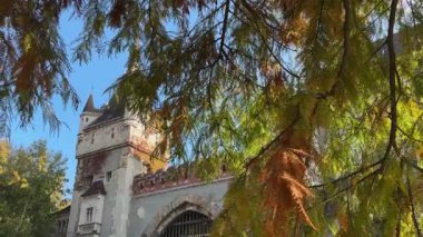 Budapeşte 'deki Vajdahunyad Kalesi' nin kapısı ve kalesi.