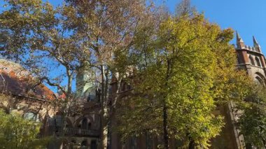 Budapeşte Teknoloji Üniversitesi 'nin kütüphane binası ağaçlar arasında