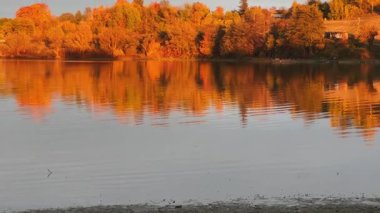 Sonbahar günbatımında vadide sakin bir su birikintisi