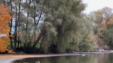 Sakin sularla dolu bir gölet ve günbatımında ağaçlarla dolu bir nehir.
