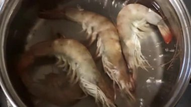 Başlangıçta tüm kral karides kaynayan suda