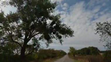 Her iki tarafında ağaçlar olan doğrudan yerel asfalt yolu.