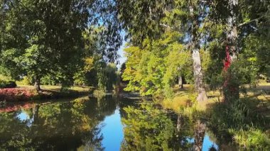 Parkta yaşlı ağaçlarla kaplı kıyıları olan dar bir göl.