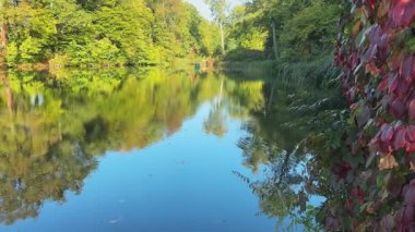 Ağaçlar ve çalılarla kaplı kıyıları olan bir göl.