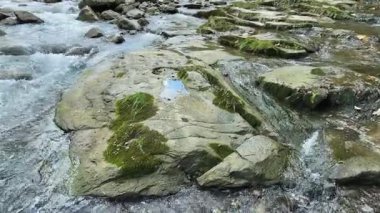 Su taşların arasında akar küçük dağ nehrinde