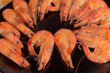 Kabuksuz kral karidesleri kaynatılmış, siyah plaka üzerine serilmiş, yakın plan.