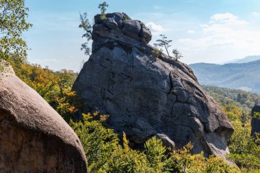 Yüksek izole kayalık bir kaya çıkıntısı dikey kenarları ve büyüyen farklı ağaçlarıyla sonbahar güneşli günlerinde dağ ormanlarının üzerinde.
