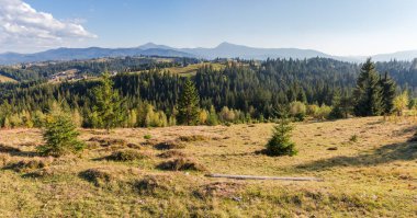 Kuru otlarla ve tek ağaçlarla dolu dağ çayırı uzak tepelere karşı ve güneşli bir sonbahar öğleden sonrasında Karpatlar 'da berrak gökyüzü, panorama