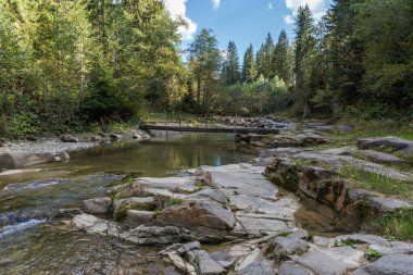 Küçük dağ nehri vadiye sızıyor. Kayalık kıyılar ormanla kaplanmış ve sonbaharda güneşli bir günde sallanan tahta köprü gölgede.