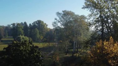 Sonbaharda eski park güneşli sabah arkadan aydınlatma, hava manzarası