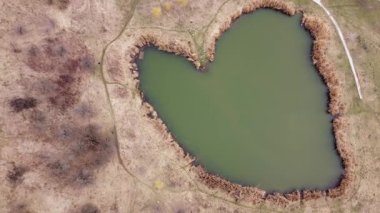 Kıyı boyunca kuru kamışlı kalp şeklinde göl, hava manzaralı.