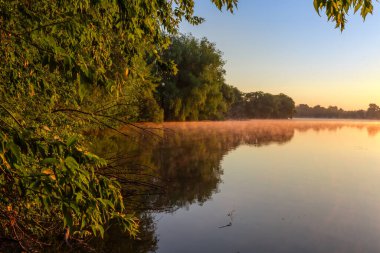 Sakin suyun üzerinde yükselen sisli gölet ve yaz mevsiminde kıyılarda farklı ağaçlar.