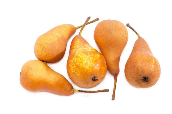 Several Bosc pear on a light background — Stock Photo, Image