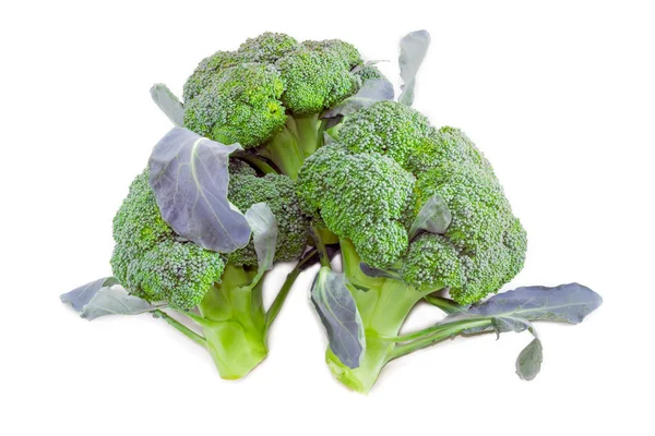 Three head of purple broccoli on a light background — ストック写真