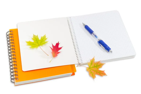 Dois cadernos, caneta e algumas folhas de outono — Fotografia de Stock