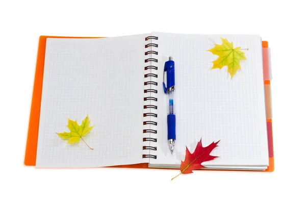 Ноутбук, ручка и несколько осенних листьев — стоковое фото