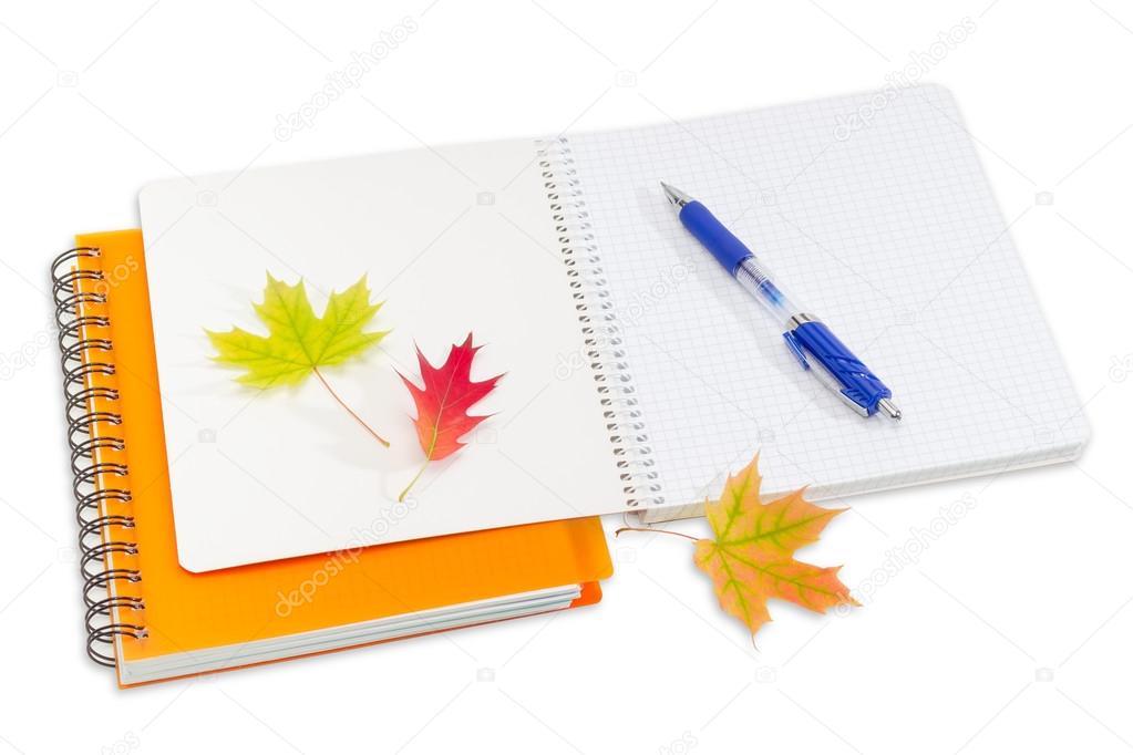 Two notebooks, pen and a few autumn leaves