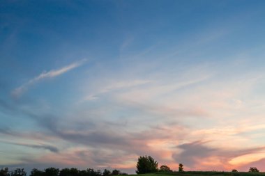 Güneşli bir yaz akşamında, karanlık dar ağaç hattının üzerinde sirrus bulutları olan gökyüzünün bir bölümü.
