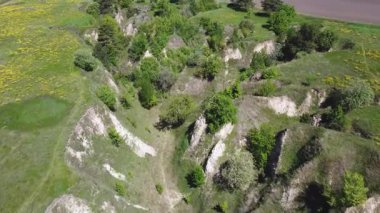 Bahar mevsiminde dik vadileri ve ağaçları olan, hava manzaralı bir vadi.