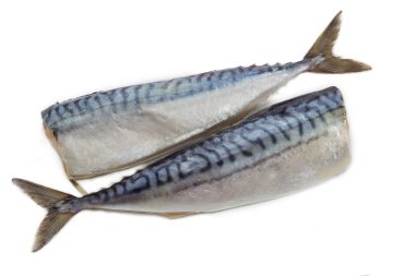 Two carcass salted atlantic mackerel on a light background