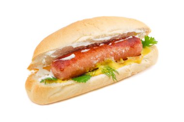 Hot dog on a light background