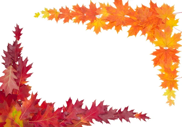 Őszi levelek, a világos háttér keret — Stock Fotó