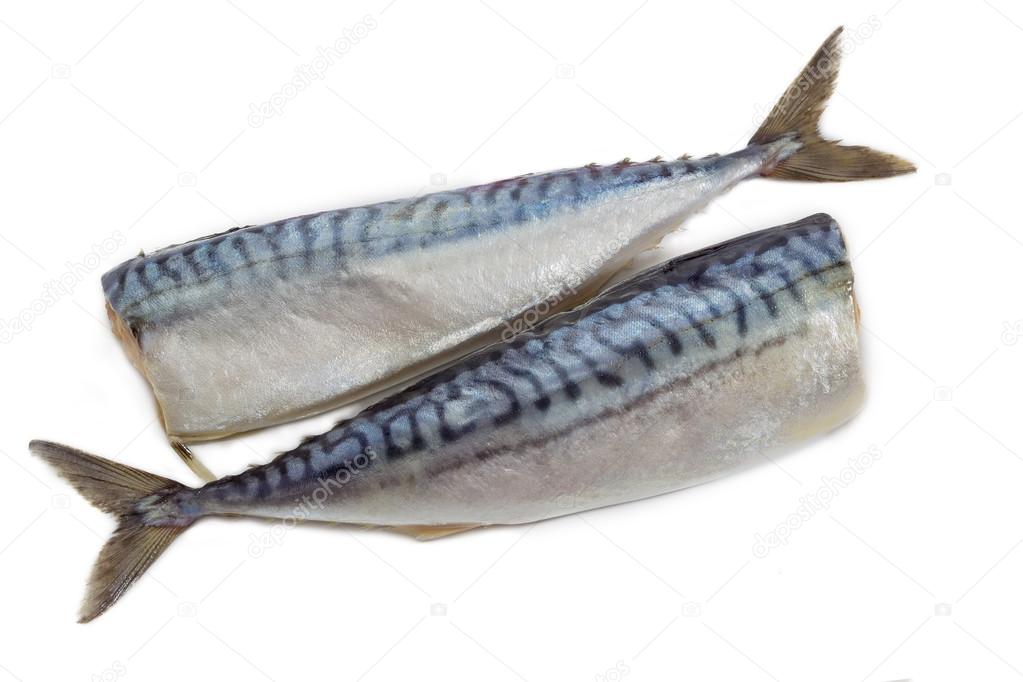 Two carcass salted atlantic mackerel on a light background