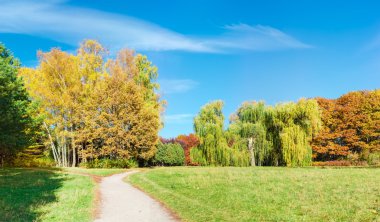 Glade in autumn park