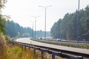 Otoyol üzerinde her iki taraf sonbahar ormanla parçası 