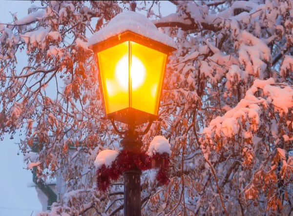 Уличная лампа на фоне ветвей под снегом — стоковое фото