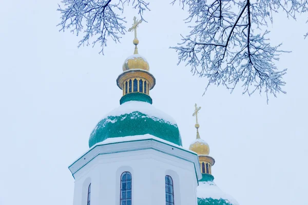 Grenar under snö mot bakgrund av kyrkan — Stockfoto