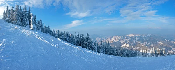 Panoramę stoku narciarskiego na tle lasu świerkowego — Zdjęcie stockowe