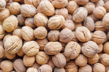 Taze hasat ceviz arka plan