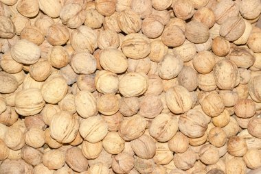 Taze hasat ceviz arka plan