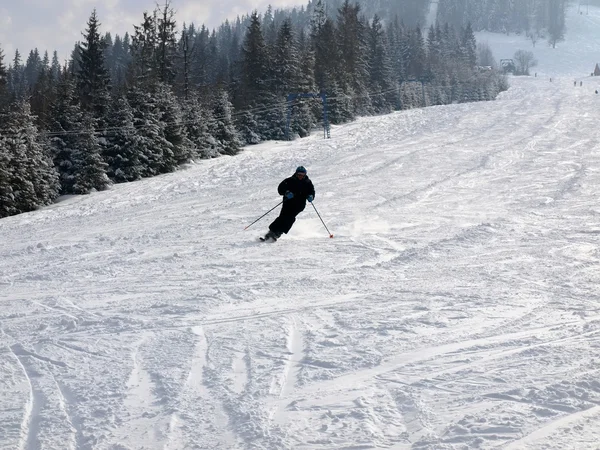 Лыжник на лыжном трассе — стоковое фото