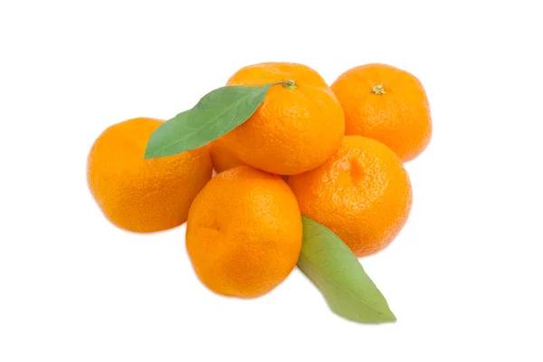 小桩的橘子 — 图库照片
