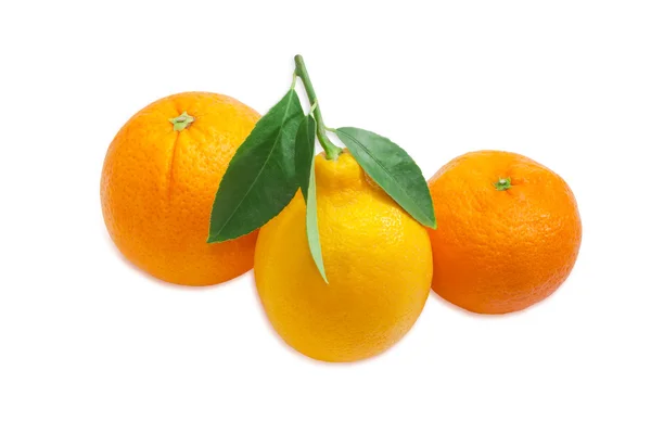 柑橙、 柠檬、 橙光背景上 — 图库照片