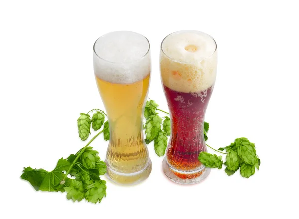Two beer glass of various beer and branch of hops — Stock Photo, Image