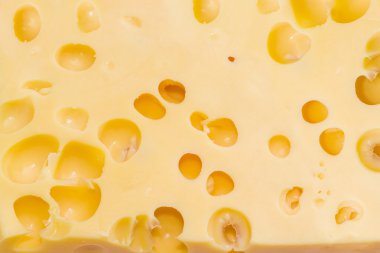 Texture of Swiss-type cheese with cheese's eyes 