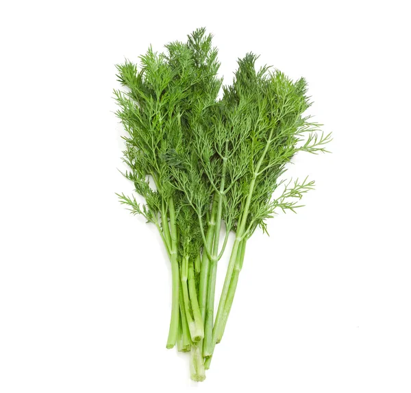 Bundle of dill on a light background — Stock Photo, Image