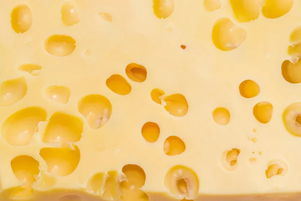 Textura de queijo do tipo suíço com olhos de queijo — Fotografia de Stock