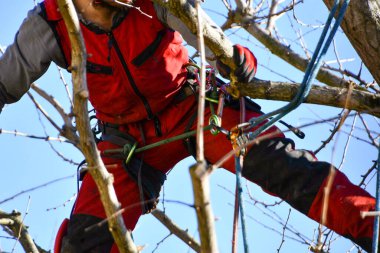 Yüksek kuyu kışında emniyet halatıyla bağlanmış çıplak ağaçların üzerinde teknik kıyafetli ve koşumlu bir çocuk.