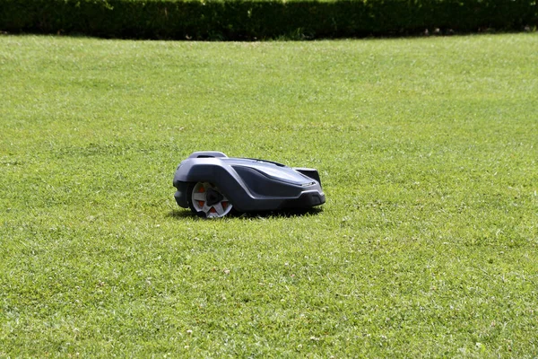 在英国草坪上割草的黑白机器人 免版税图库照片