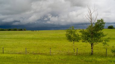Çiftlik arazisi manzarası, Alberta bozkırları, Alberta, Kanada
