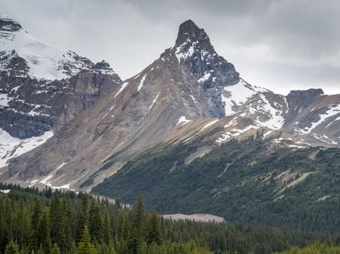 Karlı dağ sırası, Icefield Parkway, Alberta, Kanada